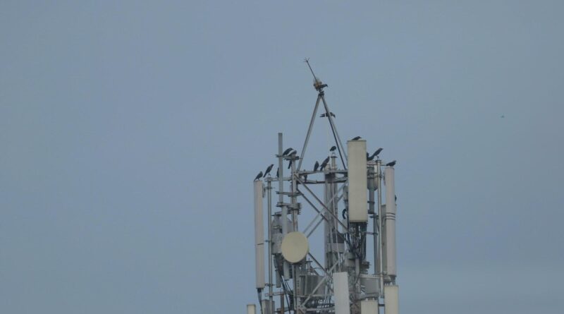 Paraná deve ver impactos da chegada da 5G durante 2023